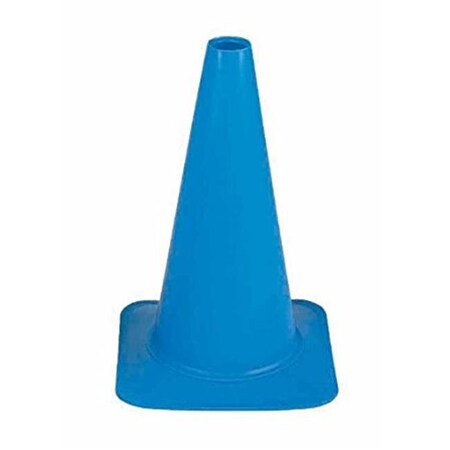Everrich Industries Everrich EVB-0016-5 12 in. Height Plastic Cones - Blue EVB-0016-5